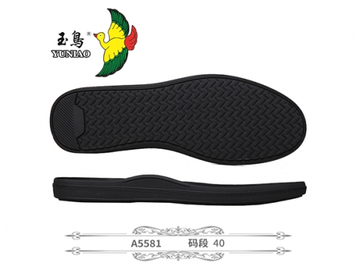 A5581